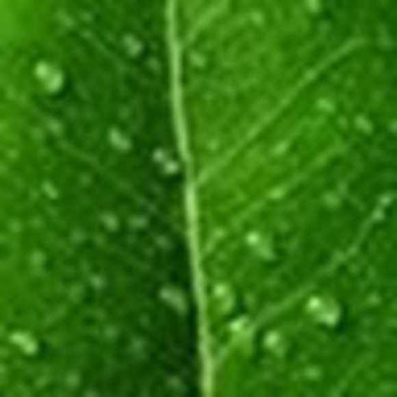 Meet your Posher, David - Picture 1 of 1